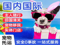 成都天府机场快递国际宠物托运 【国